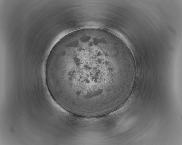 X0000112761243200909031541