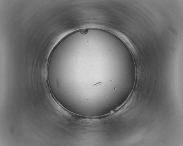 X0000112761244200909031541