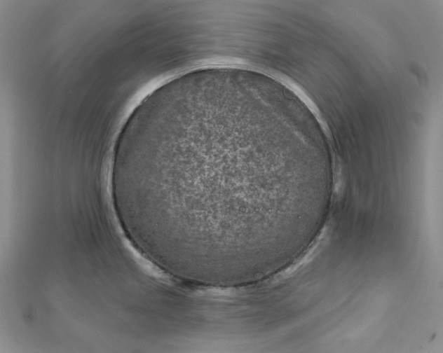 X0000112761245200909031541
