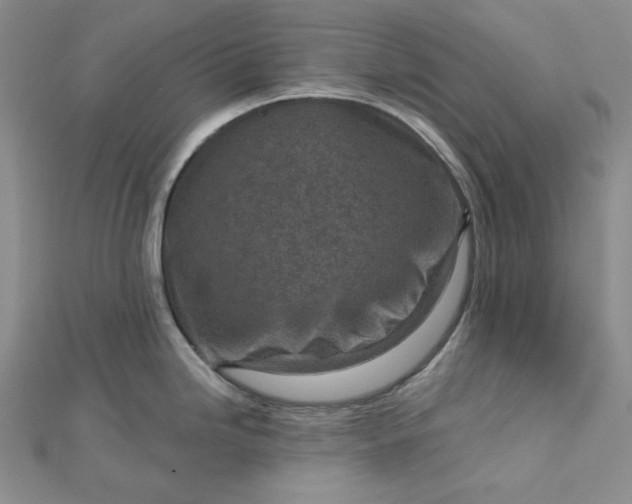 X0000112761246200909031541