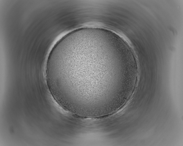 X0000112761248200909031541