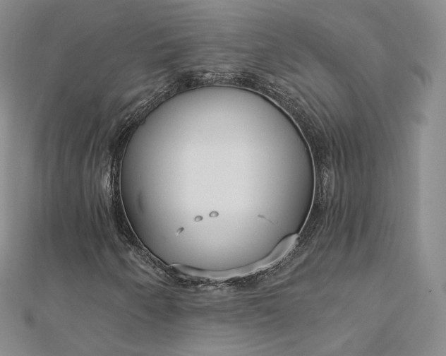 X0000112761250200909031540