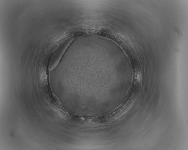 X0000112761252200909031540
