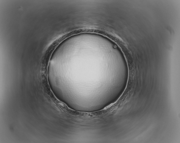 X0000112761255200909031540