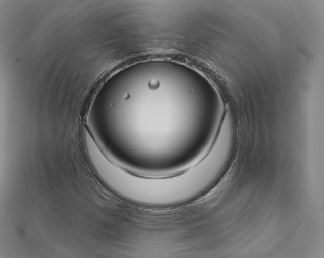 X0000112761257200909031540