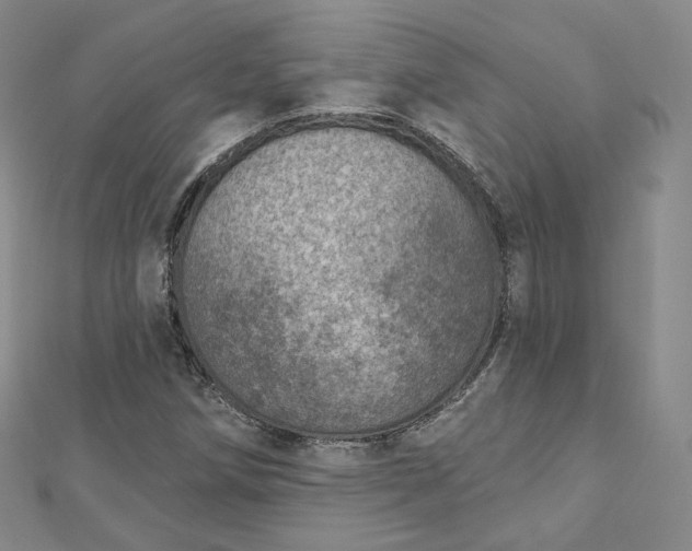 X0000112761258200909031540