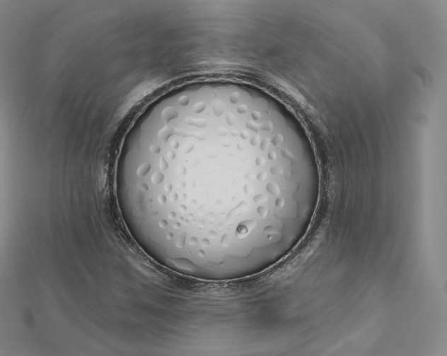 X0000112761259200909031540