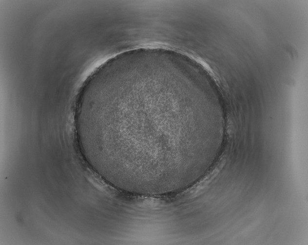 X0000112761263200909031540
