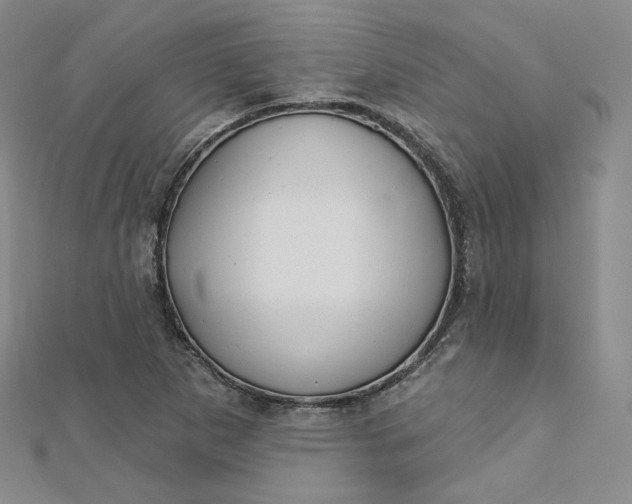 X0000112761265200909031540