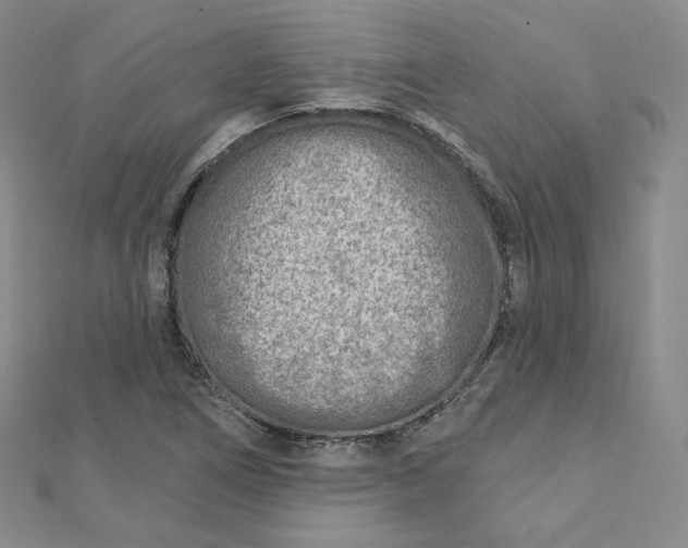 X0000112761266200909031540