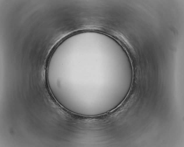 X0000112761268200909031540