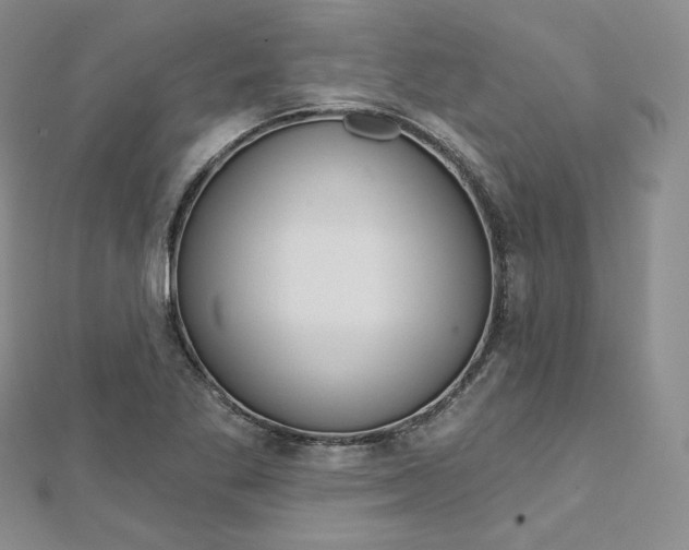 X0000112761269200909031540