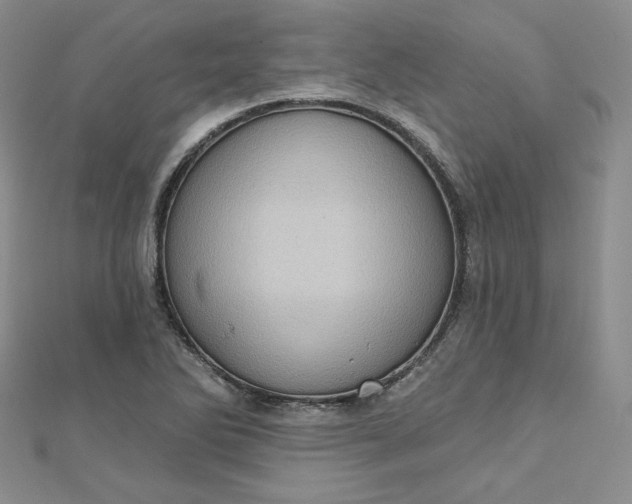 X0000112761270200909031540