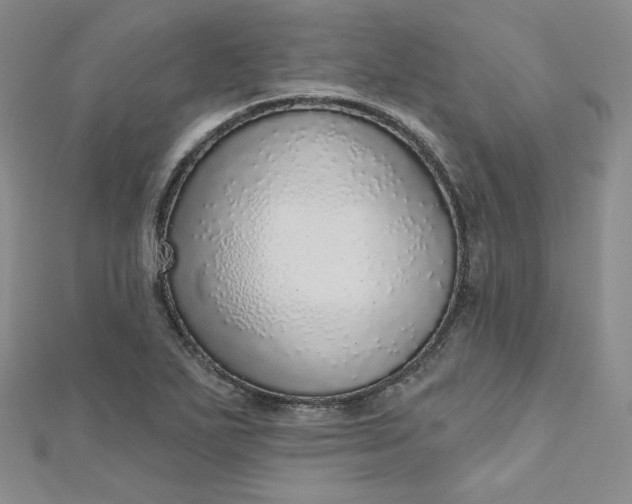 X0000112761271200909031540