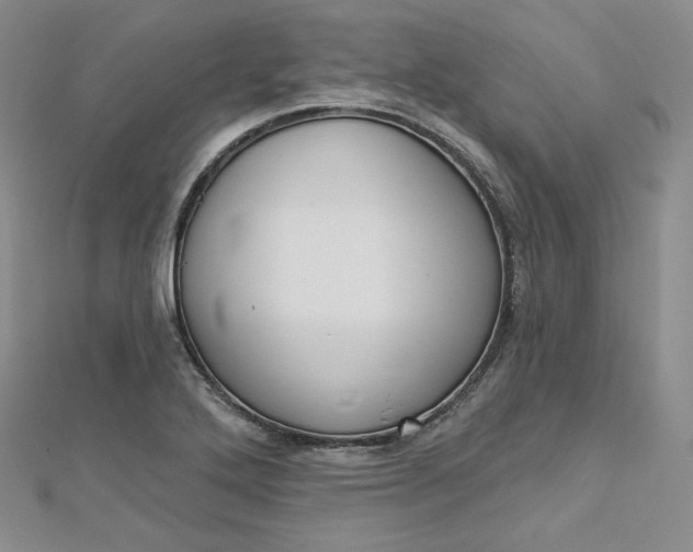 X0000112761272200909031540