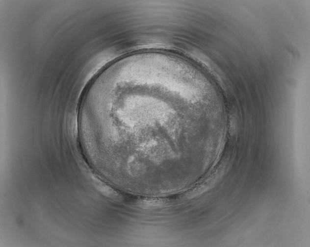 X0000112761274200909031540