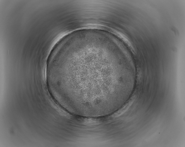 X0000112761275200909031540