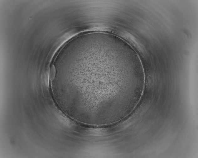 X0000112761276200909031540