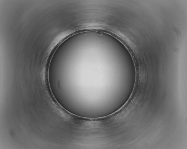 X0000112761277200909031540