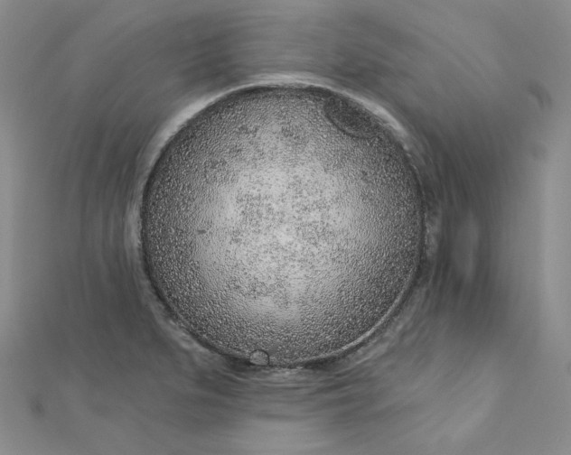 X0000112761279200909031540