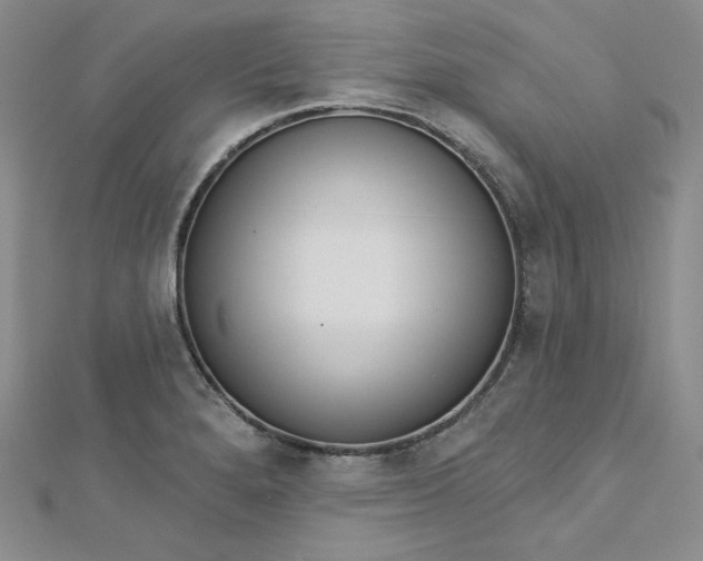 X0000112761280200909031540