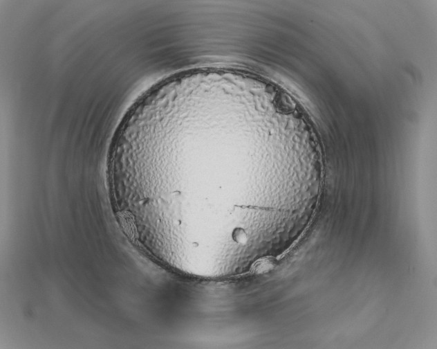X0000112761283200909031540