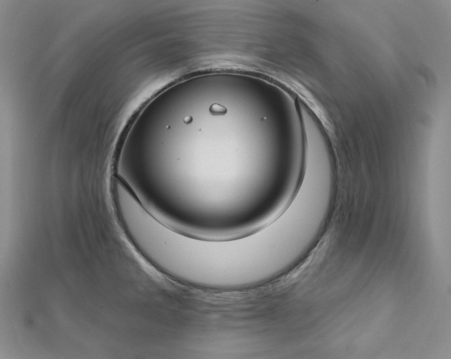 X0000112761285200909031540