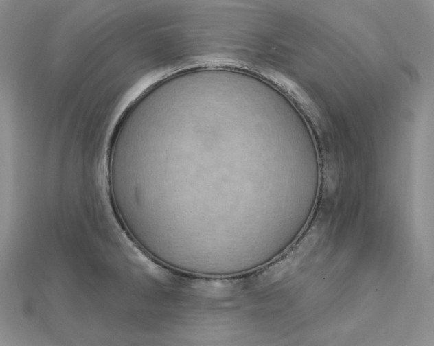 X0000112761286200909031540