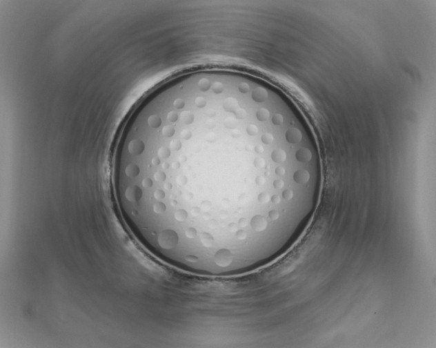 X0000112761287200909031540
