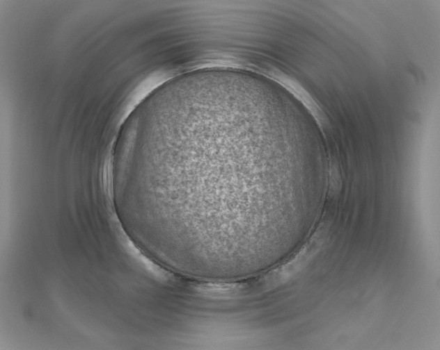 X0000112761290200909031540