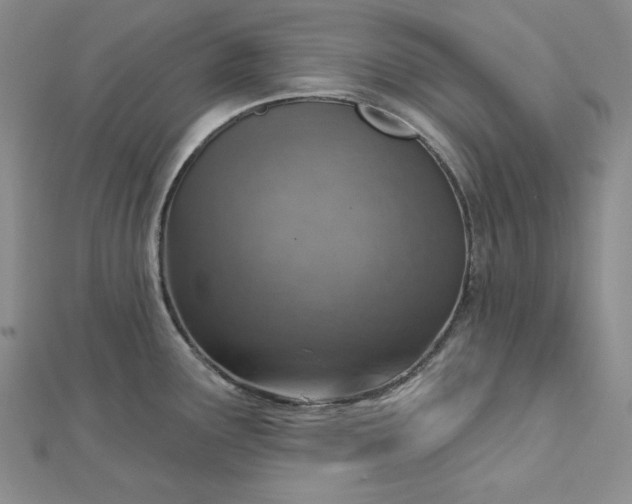 X0000112761291200909031540