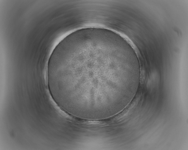 X0000112761295200909031540