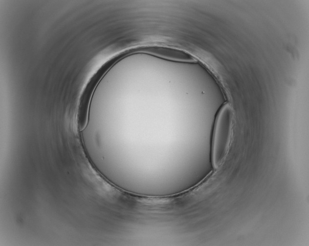X0000112761296200909031540
