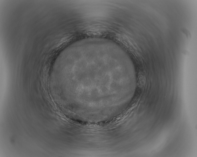 X0000112761297200909031539