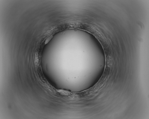 X0000112761298200909031539