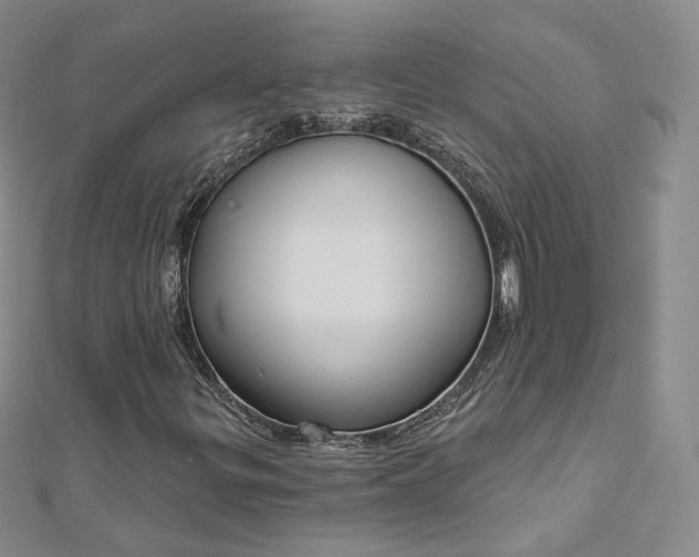 X0000112761299200909031539