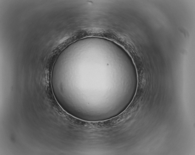X0000112761301200909031539