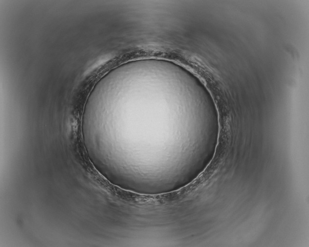 X0000112761302200909031539