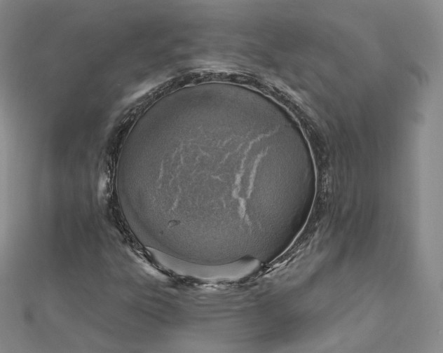 X0000112761303200909031539