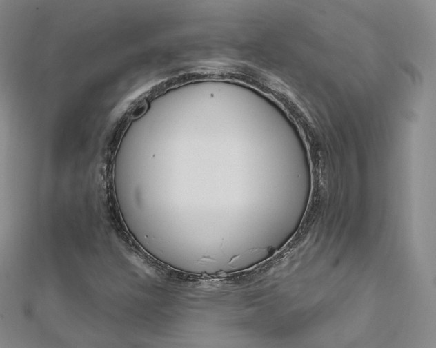 X0000112761304200909031539