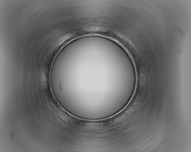 X0000112761305200909031539