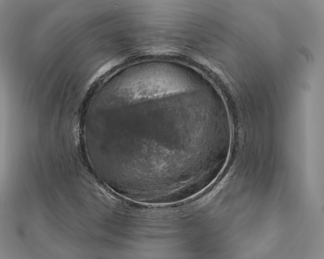 X0000112761306200909031539