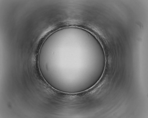 X0000112761309200909031539
