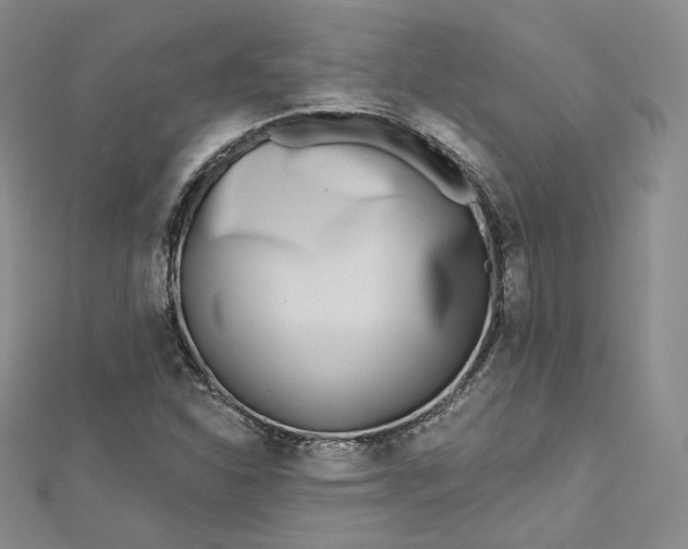 X0000112761310200909031539