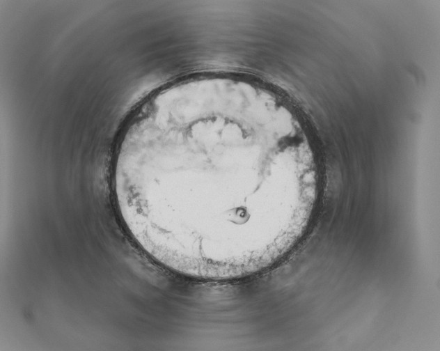 X0000112761314200909031539