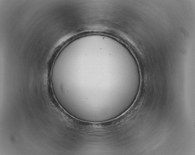 X0000112761315200909031539