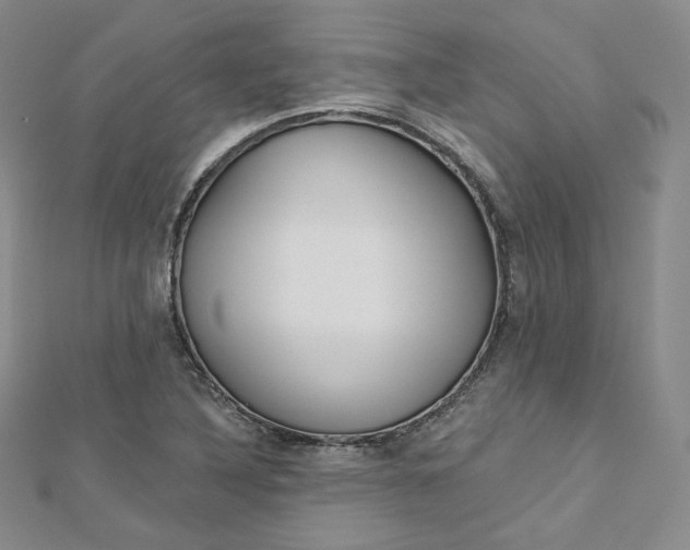 X0000112761316200909031539