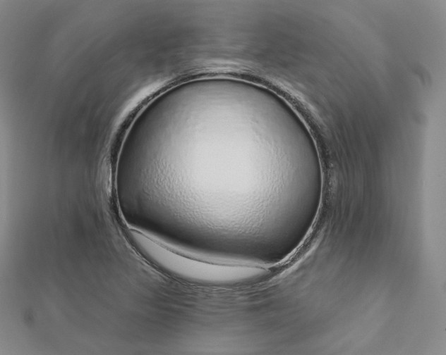 X0000112761317200909031539