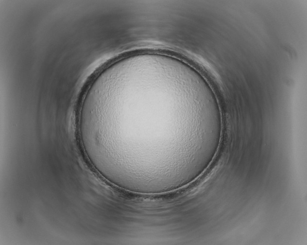 X0000112761318200909031539