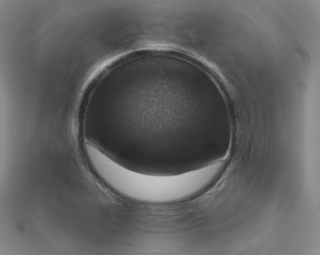 X0000112761319200909031539